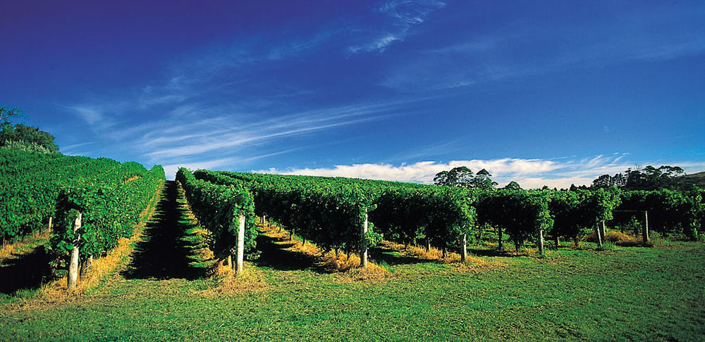 Vineyard Cottages - Kumeu Waimauku Exteriör bild