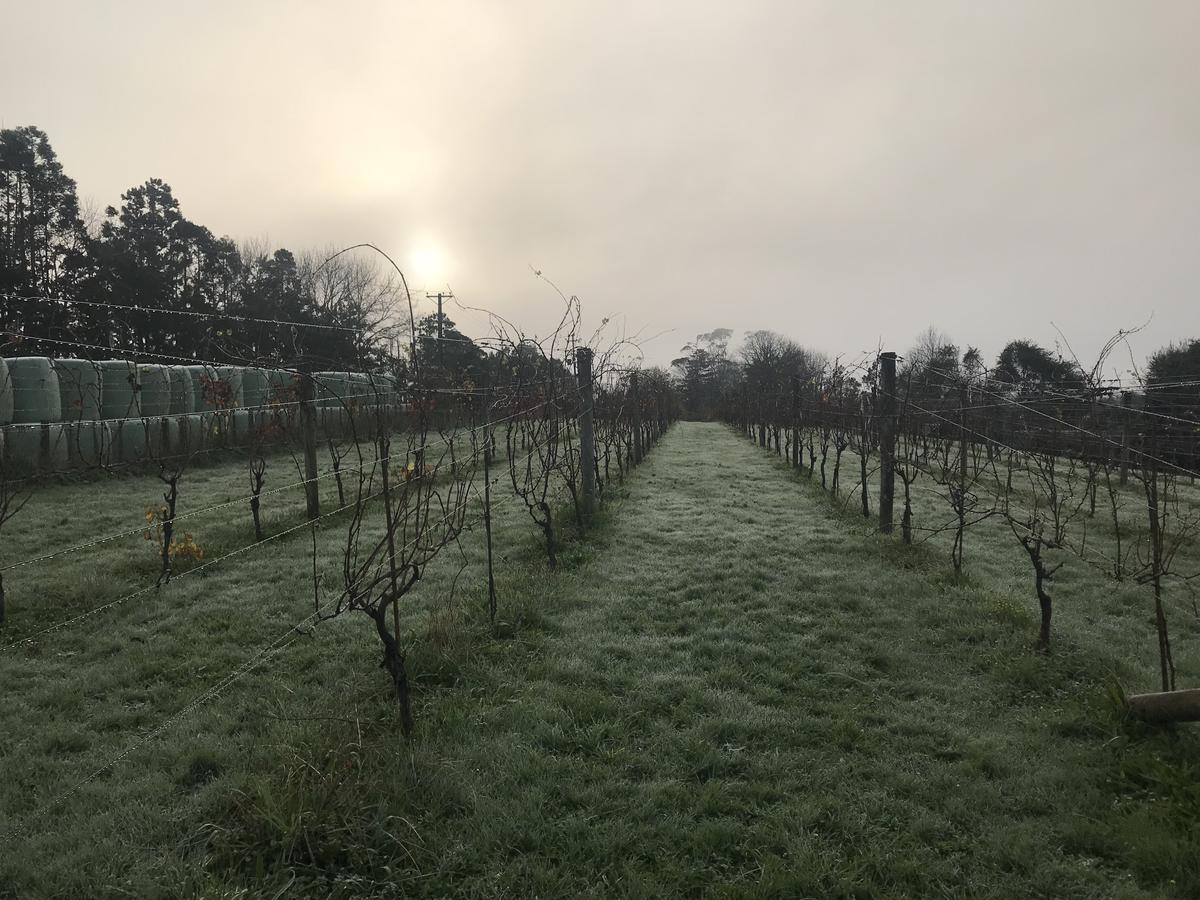 Vineyard Cottages - Kumeu Waimauku Exteriör bild